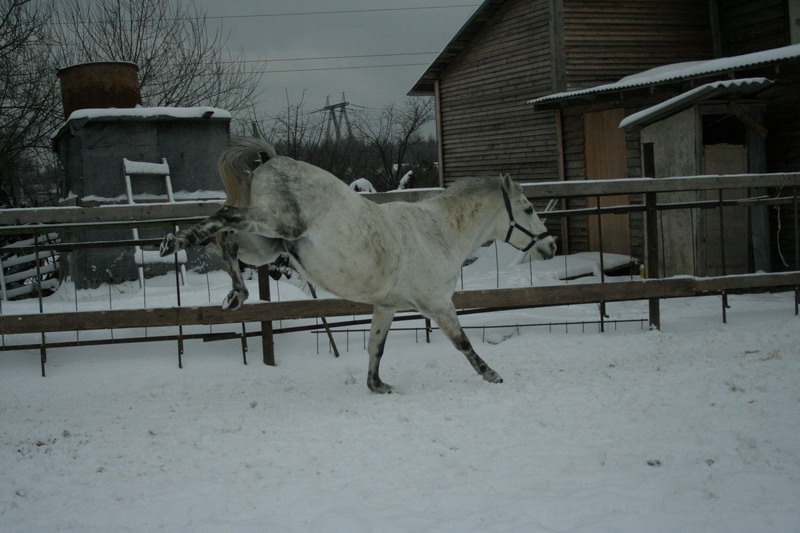 IMG_1574.jpg1.jpg"%20height="533"%20width="800